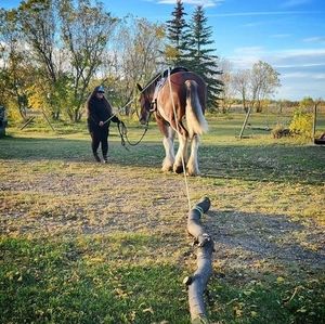 Meet your Posher, Ruthy